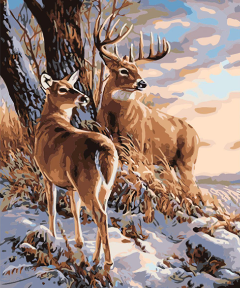 deer paint by numbers