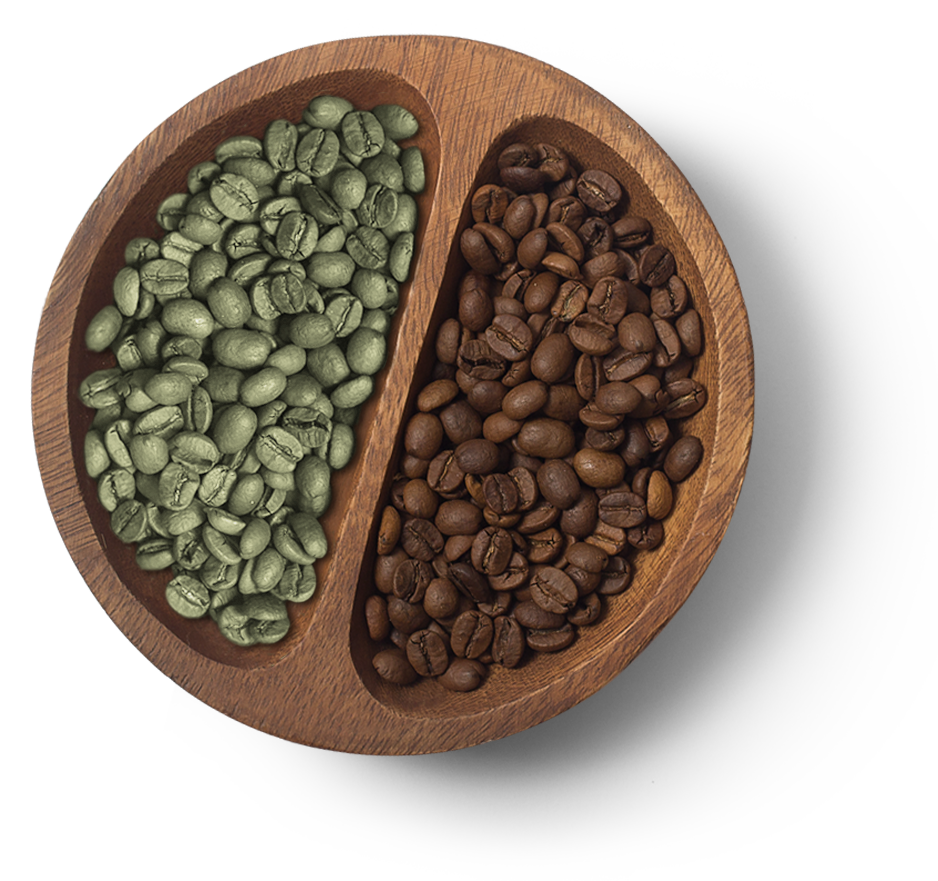 Coffee beans NZ