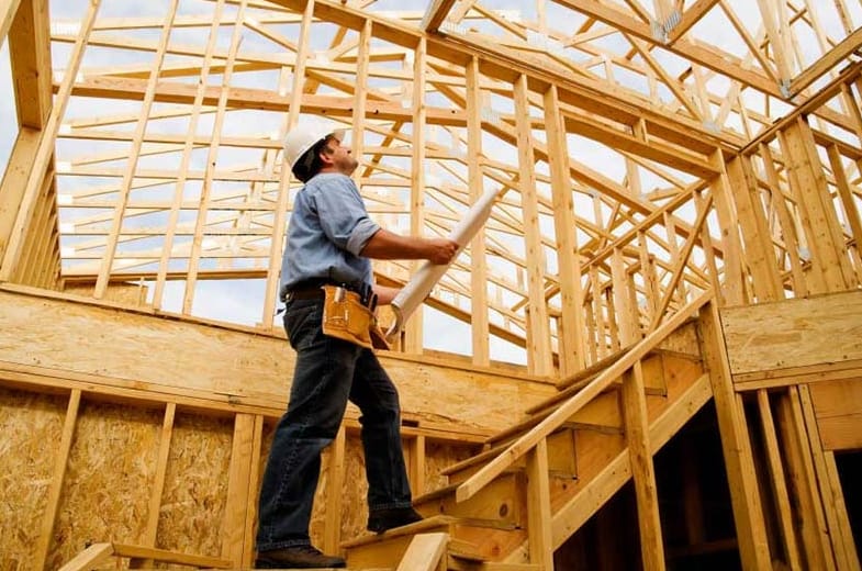 Tradie Pants